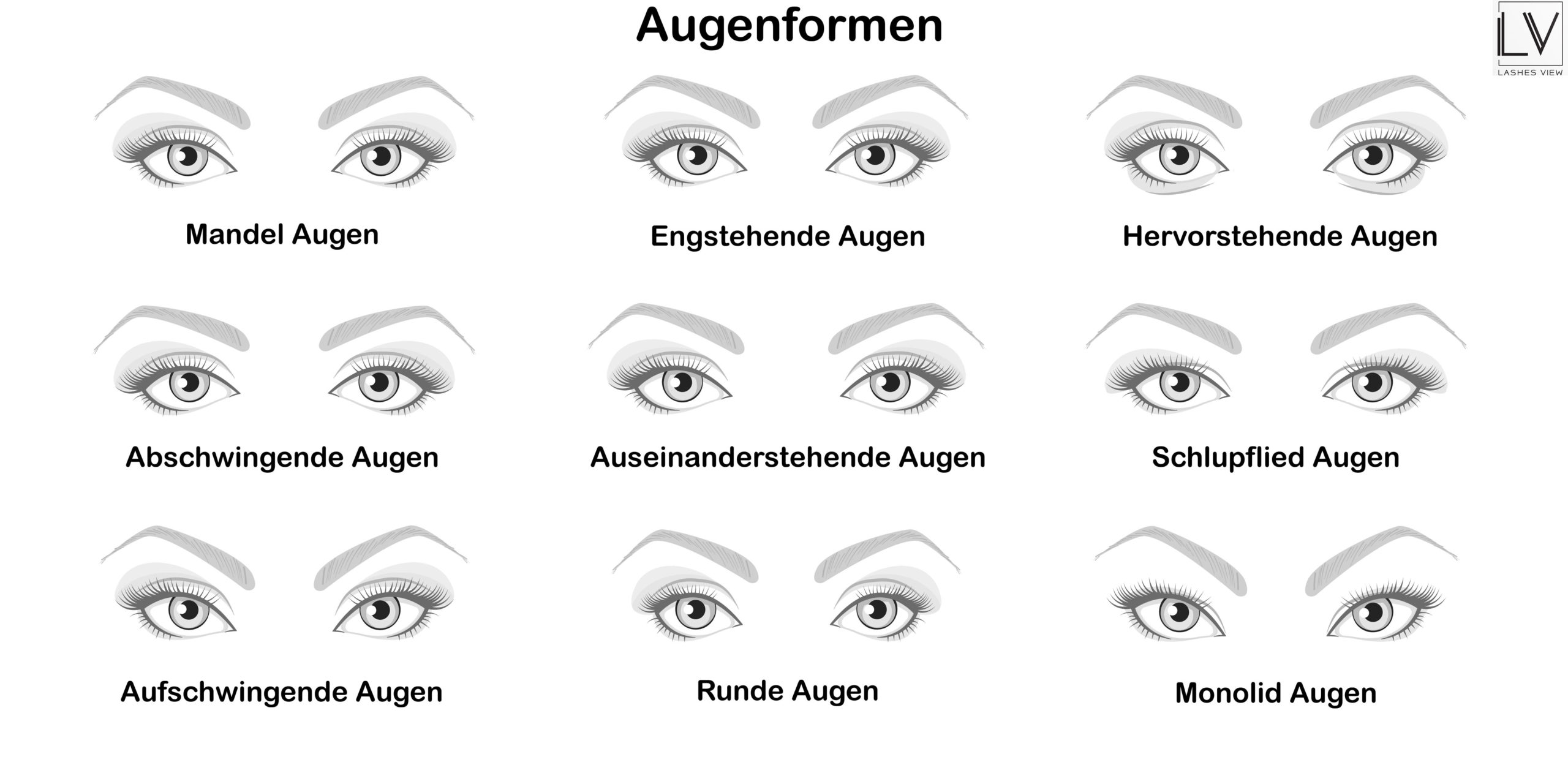 Wimperguide …. unser kleiner Berater hilft dir schnell die passenden Wimpern zu deinem Augentyp zu finden.