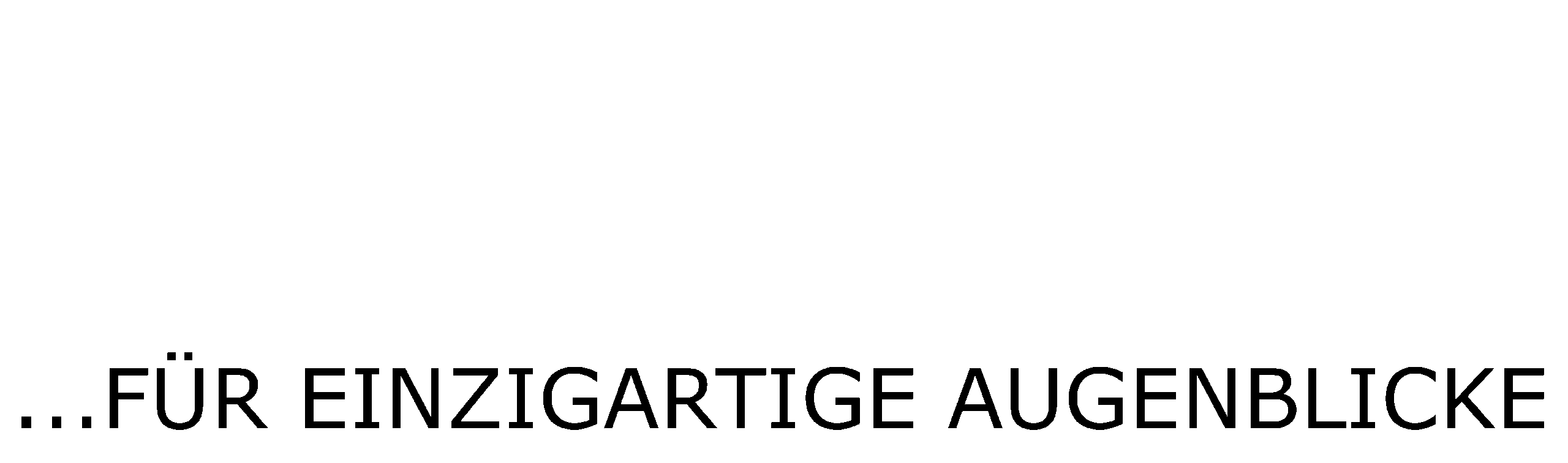 CB einzigartig schwarz Logo2020